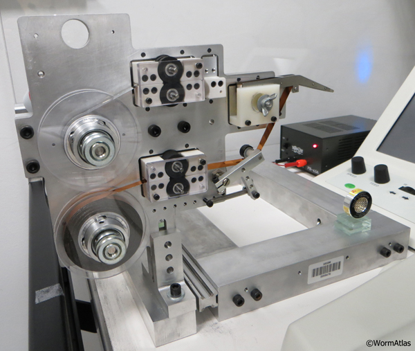 EMATUMFIG 1: ATUM (Automated Tape collection device for the UltraMicrotome
